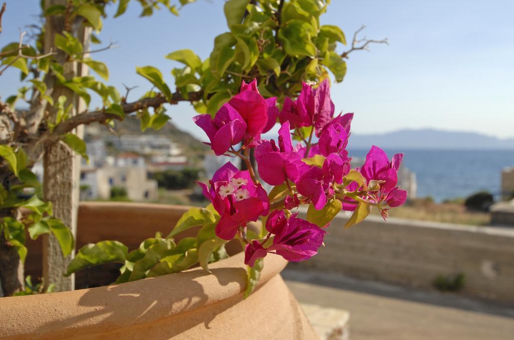 Pantonia Apartments Agia Pelagia  Cameră foto